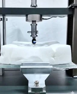 Density & Resilience Test