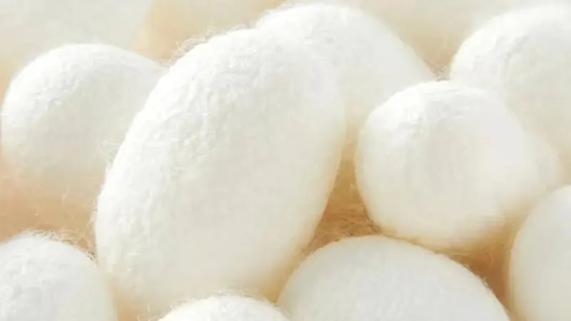 Understanding Raw Materials